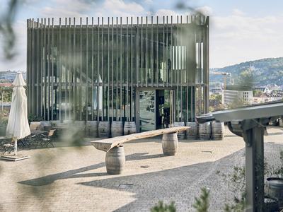 Weingut am Stein - Ludwig Knoll Galerie