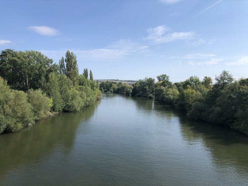 Ausblick Kneipp Steg. Sebastian-Kneipp-Steg
