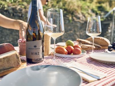Weingut am Stein - Ludwig Knoll Galerie