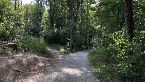 Waldwanderweg