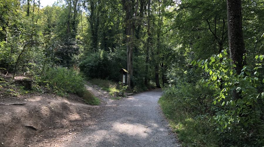 Waldwanderweg