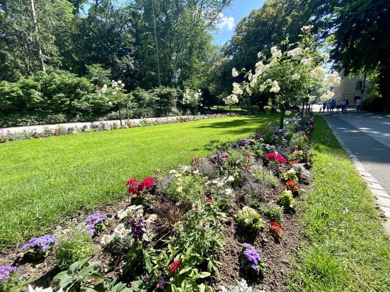 Blumenbeet im Ringpark.