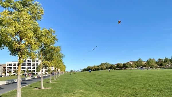 landesgartenschau_2018_wiesenpark