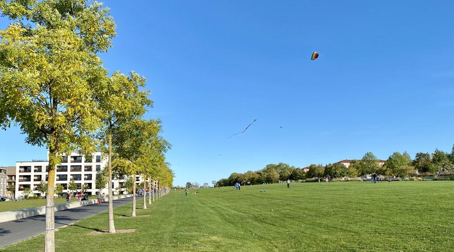 landesgartenschau_2018_wiesenpark