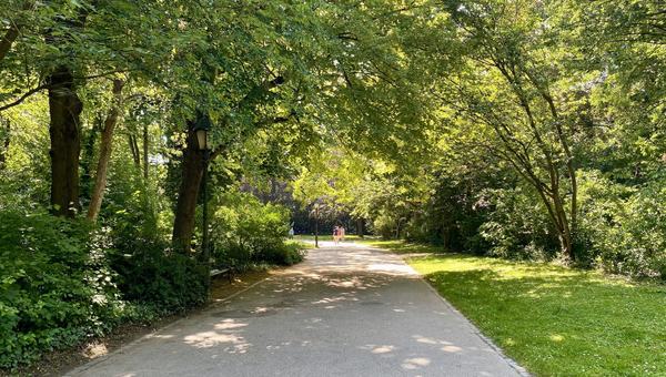 ringpark